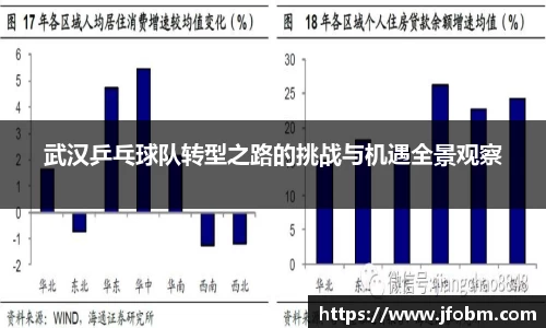 武汉乒乓球队转型之路的挑战与机遇全景观察